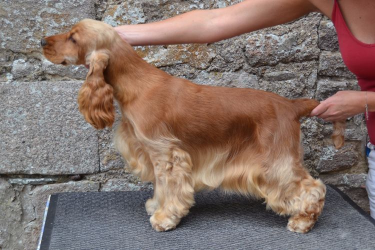 Jumpy de l'Orme à Lieue