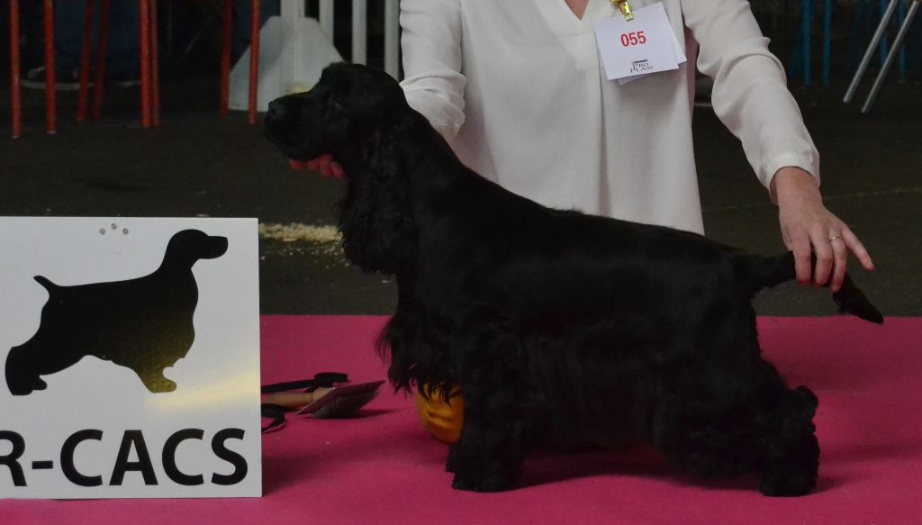 Maisie de l'Orme à Lieue