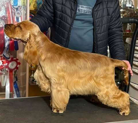 manaca's Up The Game